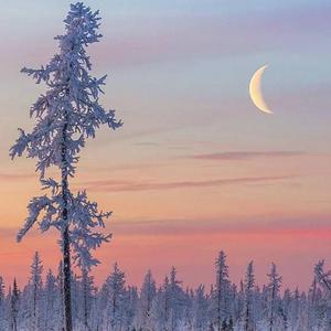 亚洲中文精品高清
